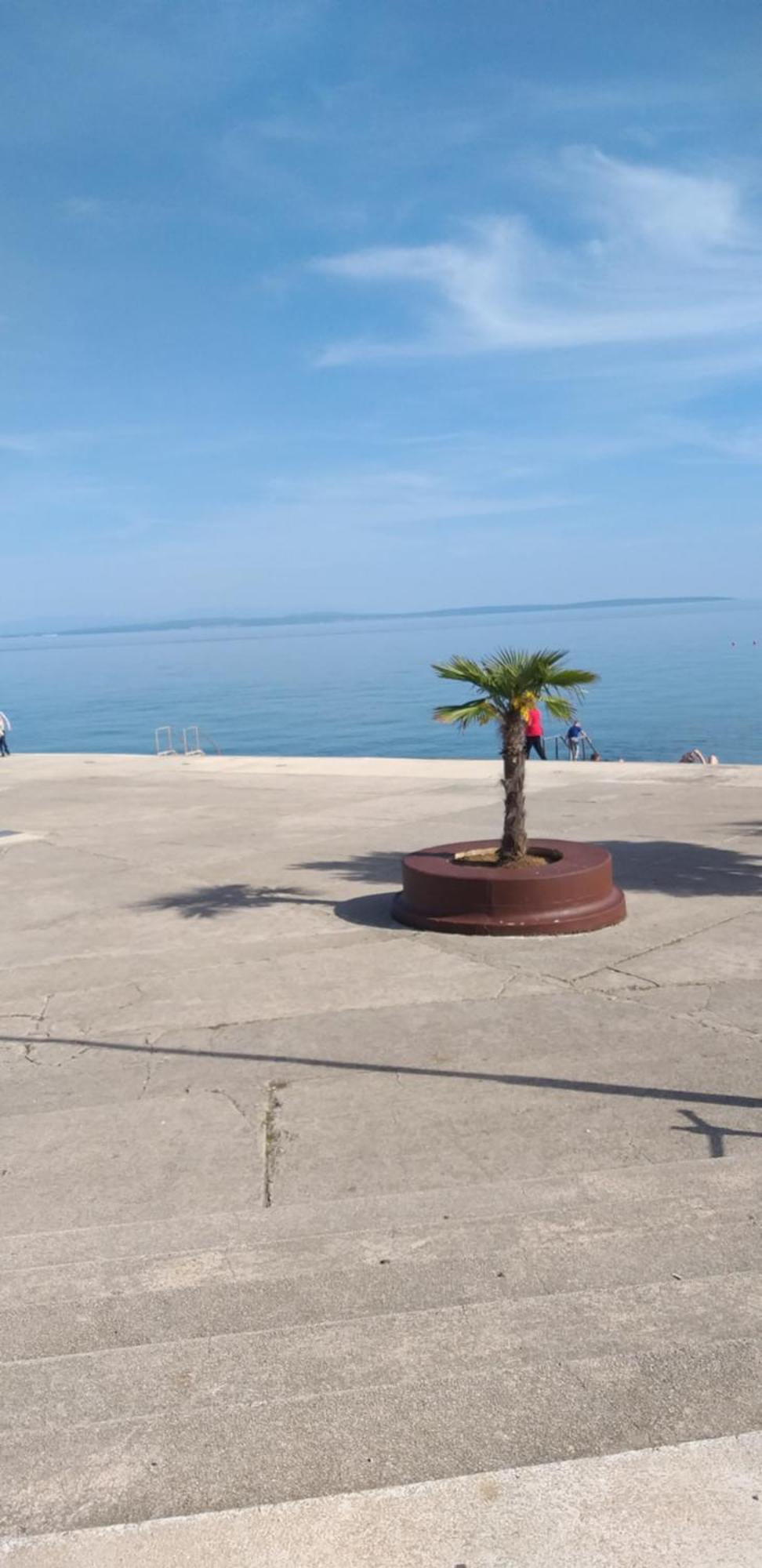 Apartman Blazenka Viskovo Esterno foto